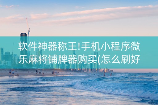 软件神器称王!手机小程序微乐麻将铺牌器购买(怎么刷好牌)