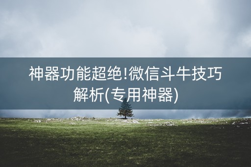 神器功能超绝!微信斗牛技巧解析(专用神器)