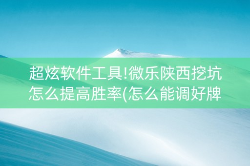 超炫软件工具!微乐陕西挖坑怎么提高胜率(怎么能调好牌)