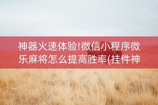 神器火速体验!微信小程序微乐麻将怎么提高胜率(挂件神器)