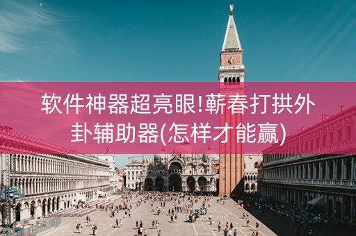 软件神器超亮眼!蕲春打拱外卦辅助器(怎样才能赢)