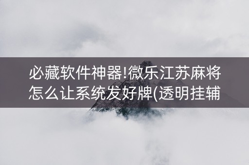 必藏软件神器!微乐江苏麻将怎么让系统发好牌(透明挂辅助器)