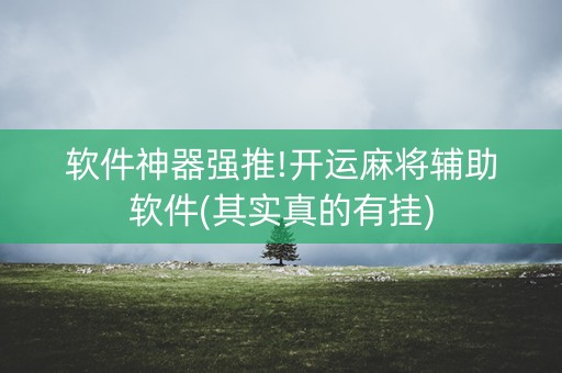 软件神器强推!开运麻将辅助软件(其实真的有挂)