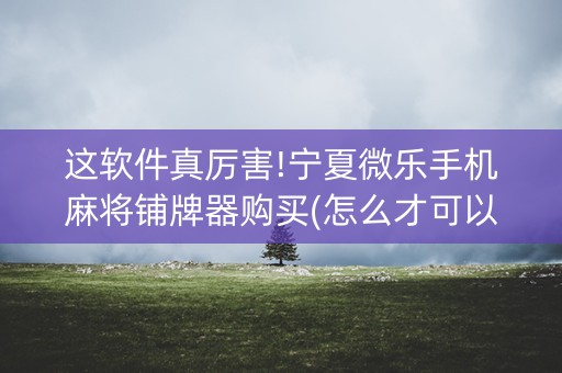 这软件真厉害!宁夏微乐手机麻将铺牌器购买(怎么才可以赢)
