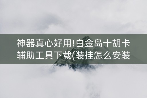 神器真心好用!白金岛十胡卡辅助工具下载(装挂怎么安装)