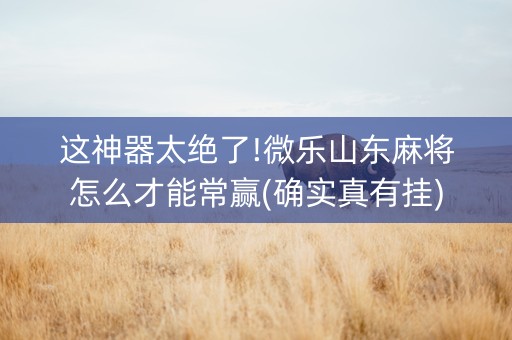 这神器太绝了!微乐山东麻将怎么才能常赢(确实真有挂)