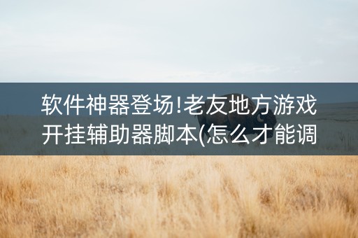 软件神器登场!老友地方游戏开挂辅助器脚本(怎么才能调胜率)