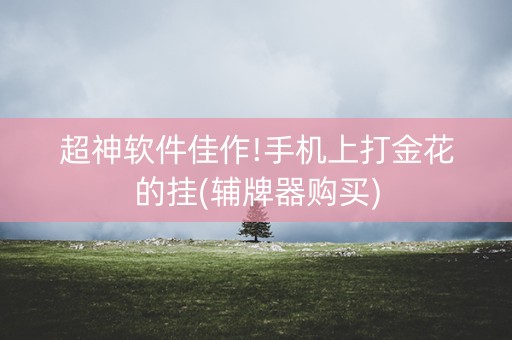 超神软件佳作!手机上打金花的挂(辅牌器购买)