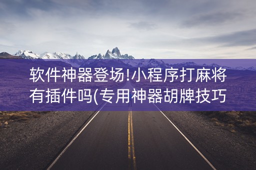 软件神器登场!小程序打麻将有插件吗(专用神器胡牌技巧)