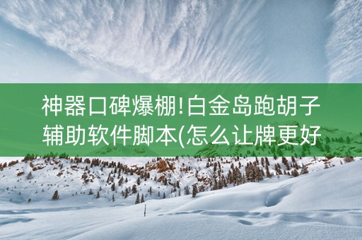 神器口碑爆棚!白金岛跑胡子辅助软件脚本(怎么让牌更好)
