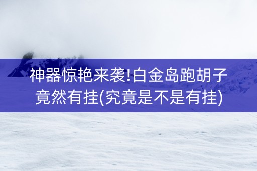神器惊艳来袭!白金岛跑胡子竟然有挂(究竟是不是有挂)