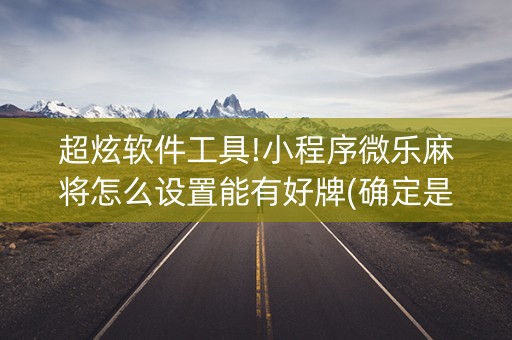 超炫软件工具!小程序微乐麻将怎么设置能有好牌(确定是有挂)