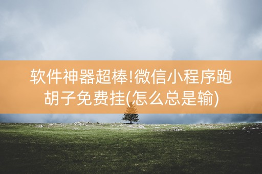 软件神器超棒!微信小程序跑胡子免费挂(怎么总是输)