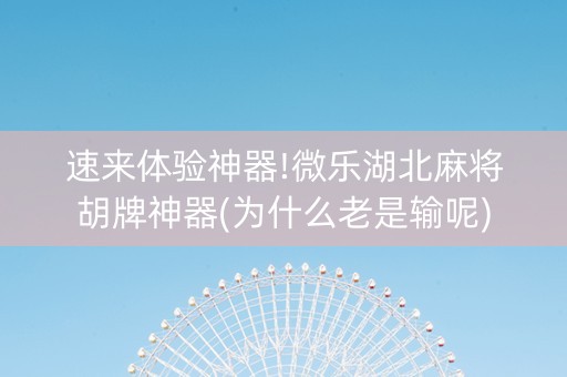 速来体验神器!微乐湖北麻将胡牌神器(为什么老是输呢)
