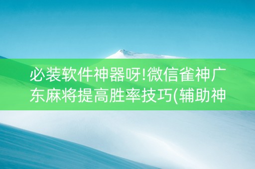 必装软件神器呀!微信雀神广东麻将提高胜率技巧(辅助神器免费)
