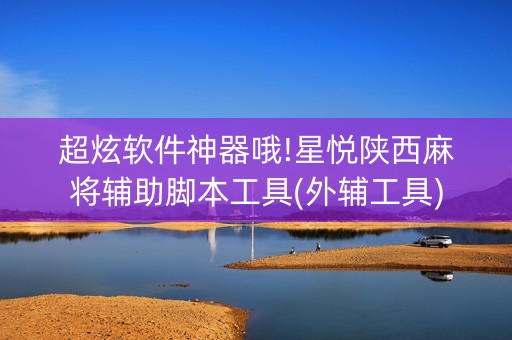 超炫软件神器哦!星悦陕西麻将辅助脚本工具(外辅工具)