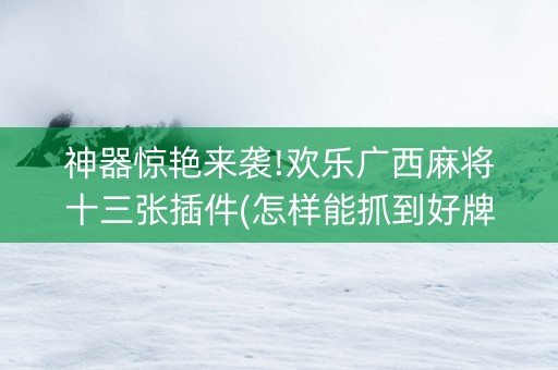 神器惊艳来袭!欢乐广西麻将十三张插件(怎样能抓到好牌)