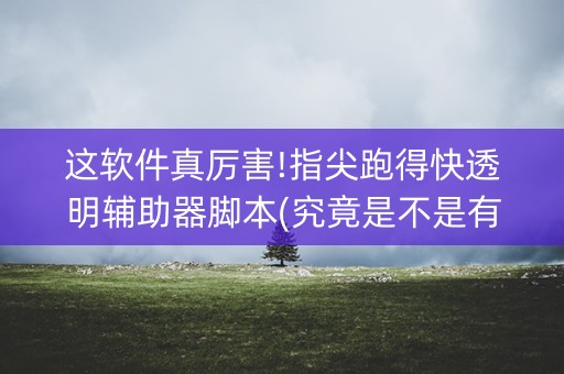 这软件真厉害!指尖跑得快透明辅助器脚本(究竟是不是有挂)