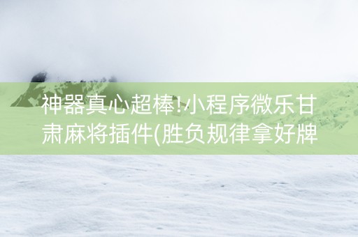 神器真心超棒!小程序微乐甘肃麻将插件(胜负规律拿好牌)