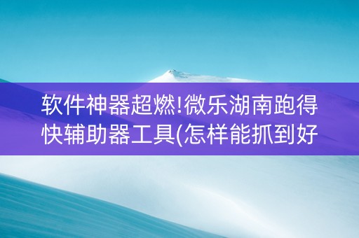 软件神器超燃!微乐湖南跑得快辅助器工具(怎样能抓到好牌)