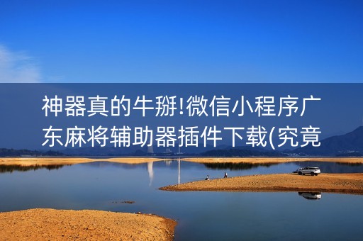 神器真的牛掰!微信小程序广东麻将辅助器插件下载(究竟是不是有挂)