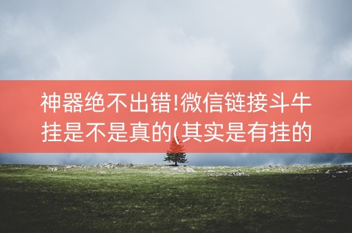 神器绝不出错!微信链接斗牛挂是不是真的(其实是有挂的)