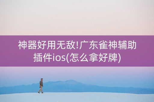 神器好用无敌!广东雀神辅助插件ios(怎么拿好牌)