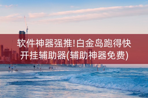 软件神器强推!白金岛跑得快开挂辅助器(辅助神器免费)