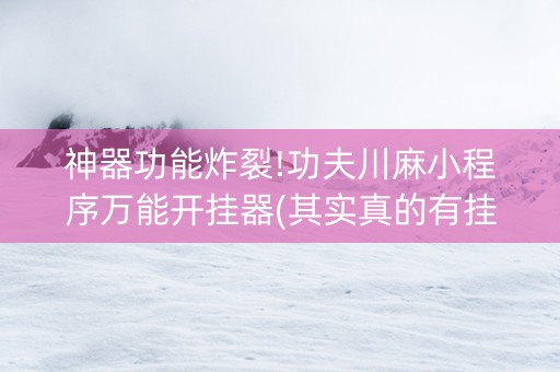 神器功能炸裂!功夫川麻小程序万能开挂器(其实真的有挂)