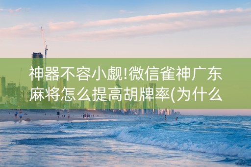 神器不容小觑!微信雀神广东麻将怎么提高胡牌率(为什么老输)