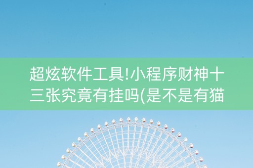 超炫软件工具!小程序财神十三张究竟有挂吗(是不是有猫腻)