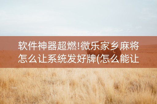 软件神器超燃!微乐家乡麻将怎么让系统发好牌(怎么能让胜率高)