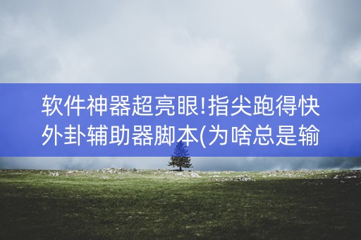 软件神器超亮眼!指尖跑得快外卦辅助器脚本(为啥总是输)