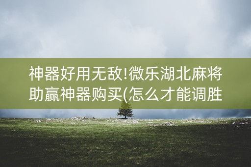 神器好用无敌!微乐湖北麻将助赢神器购买(怎么才能调胜率)
