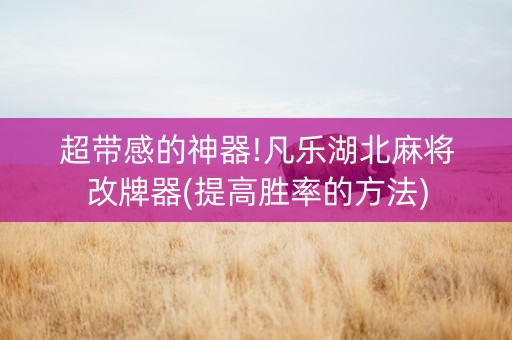 超带感的神器!凡乐湖北麻将改牌器(提高胜率的方法)