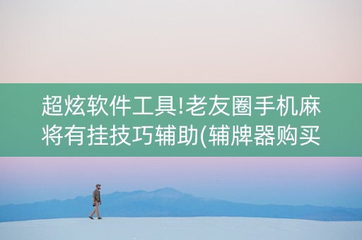 超炫软件工具!老友圈手机麻将有挂技巧辅助(辅牌器购买)