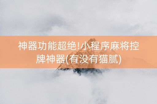 神器功能超绝!小程序麻将控牌神器(有没有猫腻)