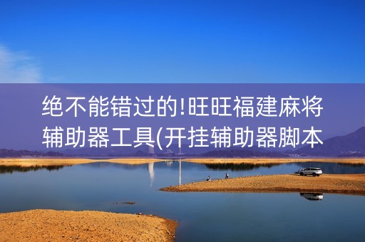 绝不能错过的!旺旺福建麻将辅助器工具(开挂辅助器脚本)