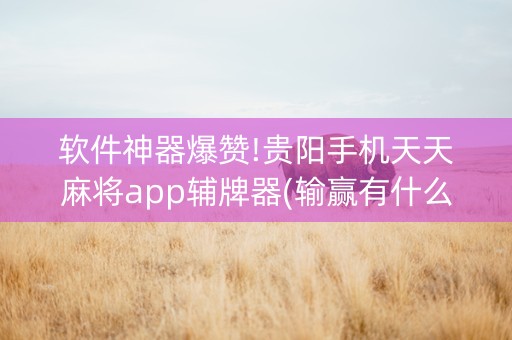 软件神器爆赞!贵阳手机天天麻将app辅牌器(输赢有什么规律)