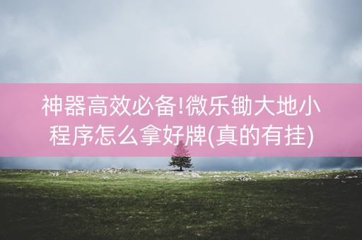 神器高效必备!微乐锄大地小程序怎么拿好牌(真的有挂)