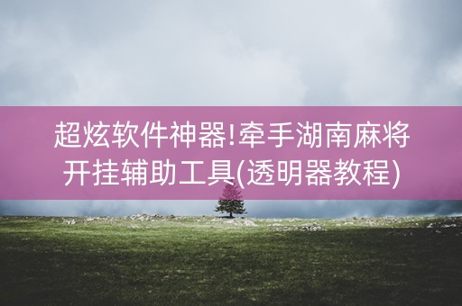 超炫软件神器!牵手湖南麻将开挂辅助工具(透明器教程)