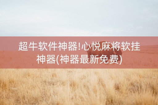 超牛软件神器!心悦麻将软挂神器(神器最新免费)