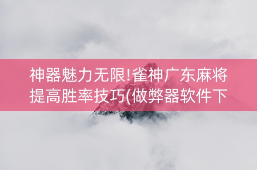 神器魅力无限!雀神广东麻将提高胜率技巧(做弊器软件下载)
