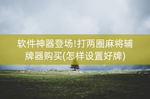软件神器登场!打两圈麻将辅牌器购买(怎样设置好牌)