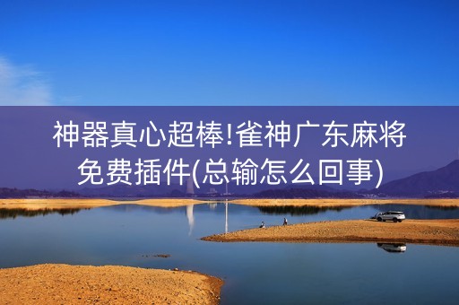 神器真心超棒!雀神广东麻将免费插件(总输怎么回事)