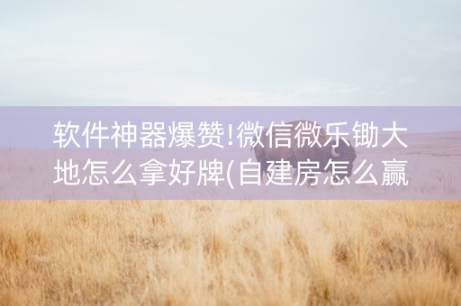 软件神器爆赞!微信微乐锄大地怎么拿好牌(自建房怎么赢)