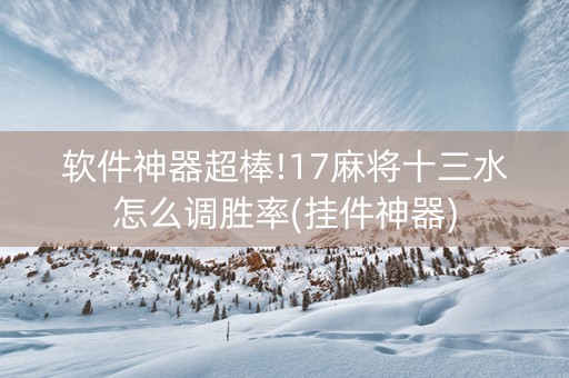 软件神器超棒!17麻将十三水怎么调胜率(挂件神器)
