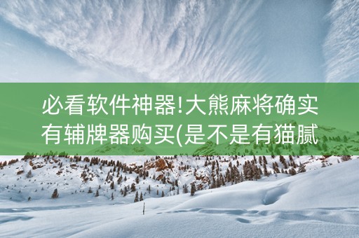 必看软件神器!大熊麻将确实有辅牌器购买(是不是有猫腻)