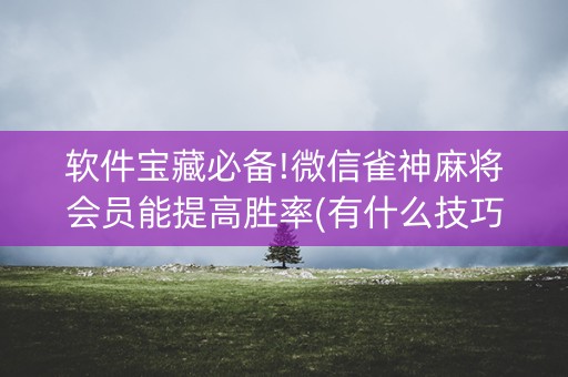 软件宝藏必备!微信雀神麻将会员能提高胜率(有什么技巧)