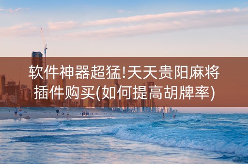 软件神器超猛!天天贵阳麻将插件购买(如何提高胡牌率)